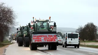 Tractores 09 02 2024  (48672714)