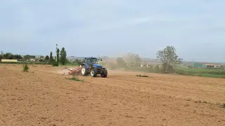 Trabajos de siembra temprana de maíz esta semana, en una explotación de Binéfar
