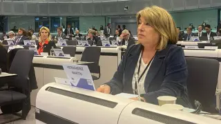 La consejera de Presidencia, Interior y Cultura del Gobierno de Aragón, Tomasa Hernández, en el Pleno del Comité de las Regiones del Parlamento Europeo.