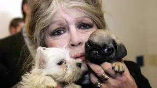Brigitte Bardot pide apoyo al estado francés para ayudar a más animales