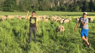 Los hermanos Sergio y Santi Citoler han apostado por el ovino para continuar en Tierrantona
