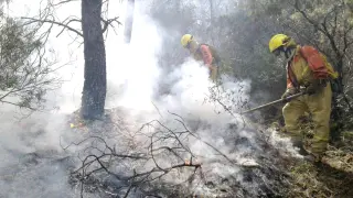 Trabajos de una cuadrilla de bomberos en la extinción de un incendio forestal en Aragón