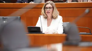 Claudia Pérez Forniés, consejera de Educación, durante su intervención de este jueves, a petición del PSOE.