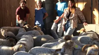 Los miembros de Siricueta junto a su rebaño de ovejas y cabras.