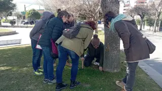 Una de las clases prácticas de la formación que han recibido los trabajadores municipales en un jardín de Sabiñánigo.