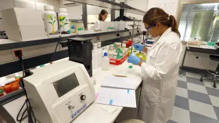 Laboratorio donde los científicos de Agrostock desarrollan componentes propios de la nutrición vegetal.