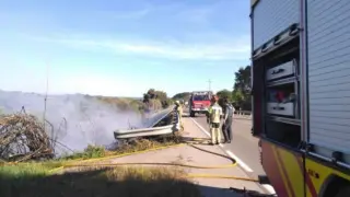 Trabajos de extinción del incendio del cañizar en Barbastro junto a la N-240, este sábado.