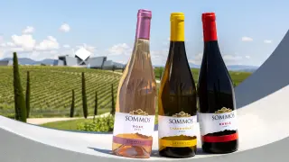 Vinos Rosé, Chardonnay y Roble, de la Bodega Sommos.