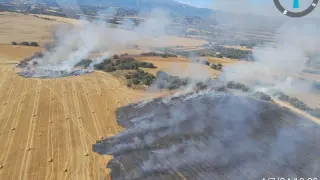 Incendio originado en una zona agrícola de Blecua.