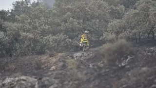 Incendio en la zona de Albero Alto