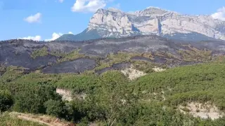 Vista de la superficie quemada en la Sierra de Araguás, a los pies de la Peña Montañesa.