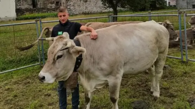 Sergio Felices con una vaca de raza Parda de Montaña, en la reciente Feria Ganadera de Broto.