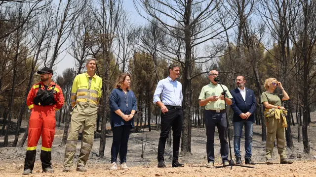 El presidente del Gobierno, Pedro Sánchez, acompañado, entre otros, por Javier Lambán, visitó este miércoles la zona afectada por el fuego iniciado el lunes en Ateca.