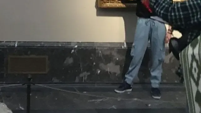 Activistas "pegados" a los cuadros de Goya en el Museo de El Prado.