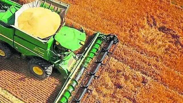 Máquina cosechadora en un campo de cereal.