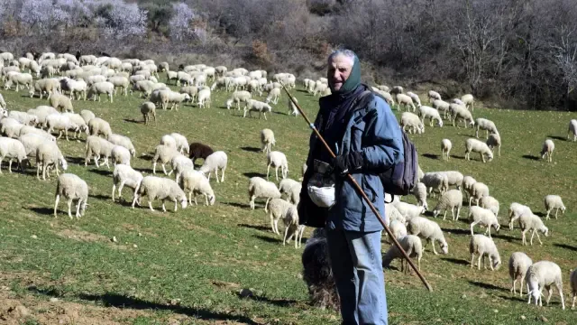 Antonio Aniés, el último pastor de Alquézar, será reconocido por la Asociación de ganaderos de Guara