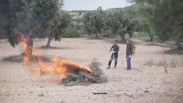 Uaga denuncia problemas con las quemas agrícolas por el riesgo de incendios en Aragón