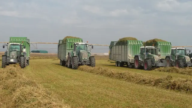 La producción de alfalfa deshidratada cae un 14 por ciento en Aragón