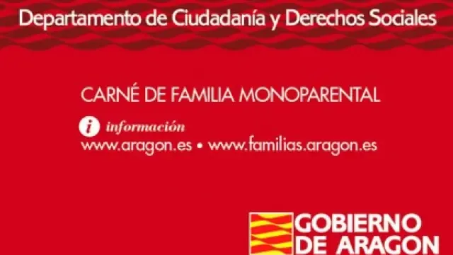 Aragón tramita 339 solicitudes de carné monoparental en menos de dos meses