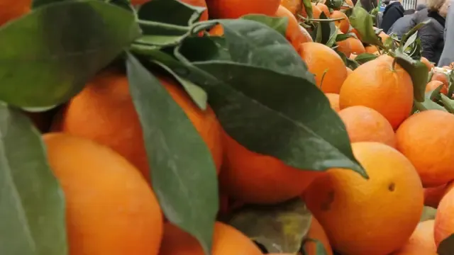 La naranja fue la fruta fresca más consumida el año pasado