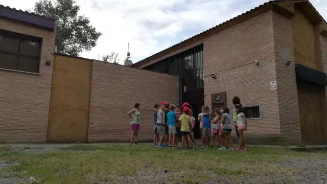 Una veintena de niños asiste al campus Divernatura en el centro Pinzana