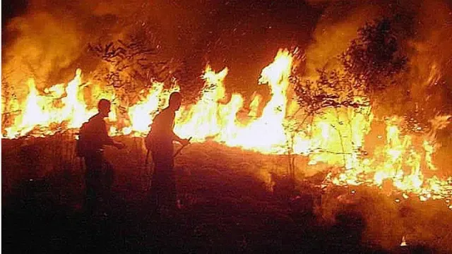 Bolsonaro prohíbe durante 60 días las quemas en todo Brasil para combatir los incendios en la Amazonia