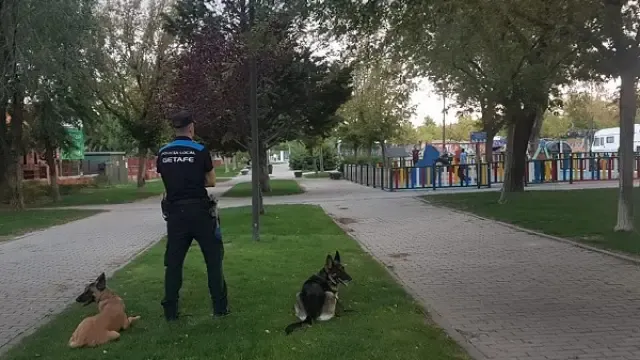 Perros de la Policía hallan 9 paquetes de hachís en un parque infantil en Getafe