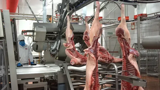 Litera Meat de Binéfar ya sobrepasa los 500 empleados