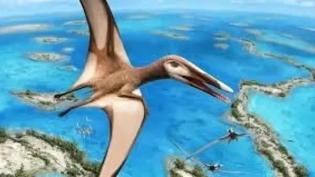Un completo fósil revela una nueva clase de reptiles voladores