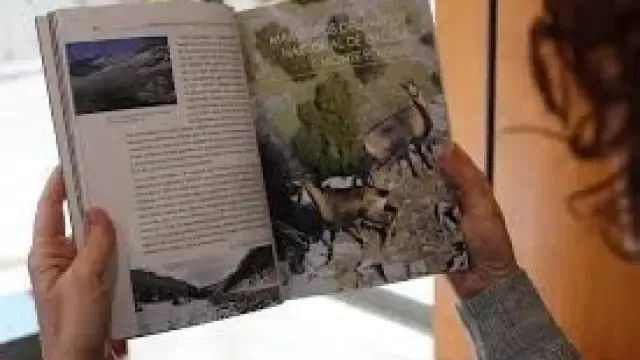 La DPH y Prames editan un libro sobre los 'Mamíferos del Parque Nacional de Ordesa y Monte Perdido'