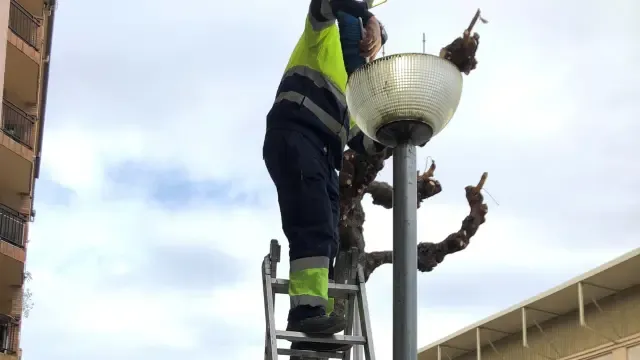 Campaña de reposición de bombillas en Monzón