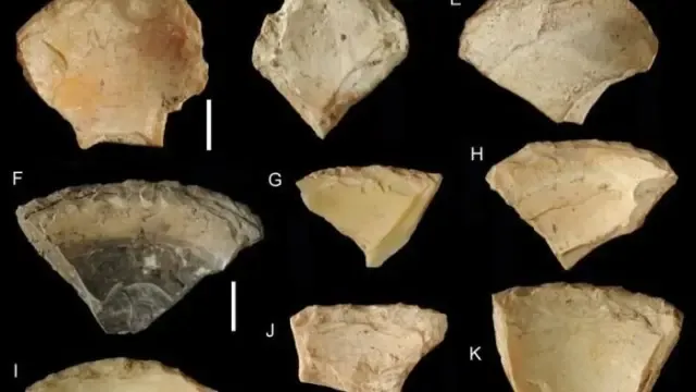 Los neandertales usaban conchas de almejas como herramientas