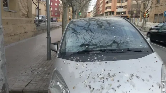 Falta de mantenimiento en la avenida Martínez Velasco de Huesca