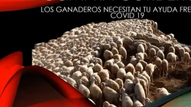 Teruel Existe lanza una campaña de promoción del consumo de cordero