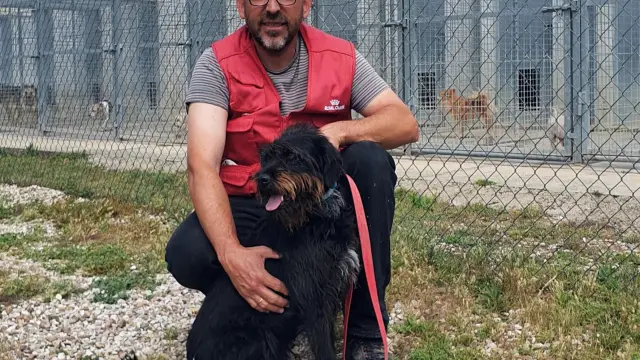 Miguel Yzuel: "España es el primer país de Europa en abandono de perros"