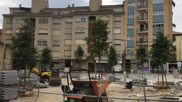 Reponen el arbolado en la plaza de Santo Domingo de Huesca