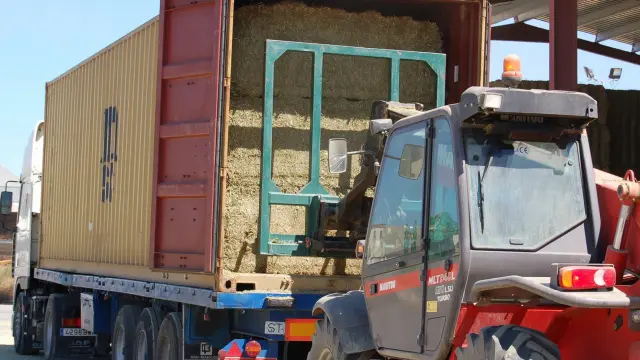Alfeed logra exportar 75.000 toneladas de alfalfa al año