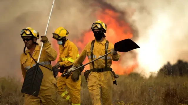 Un incendio arrasa 19 hectáreas de monte bajo en Fuendetodos