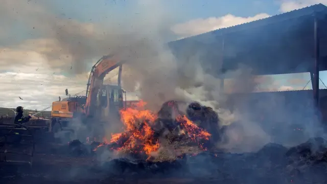 En lo que va de año se han quemado menos de la mitad de hectáreas que en 2019
