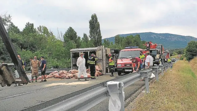 El vuelco de un camión con cerdos corta siete horas la N-123a en Torres del Obispo