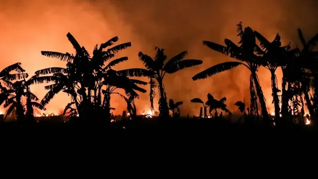 Los incendios agravan la pandemia en Brasil