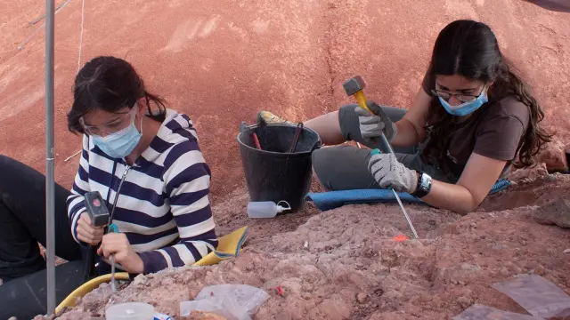 Más de 40 huevos de dinosaurios recuperados ya en el yacimiento de Loarre