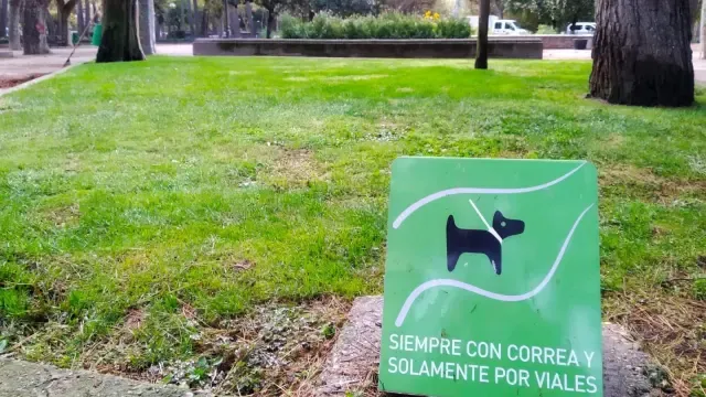 Huesca obliga a los propietarios a limpiar los orines de sus mascotas