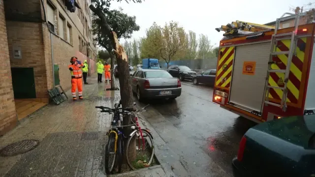 Calles anegadas, vehículos atrapados y la caída de un árbol a causa de la tromba de agua en Huesca
