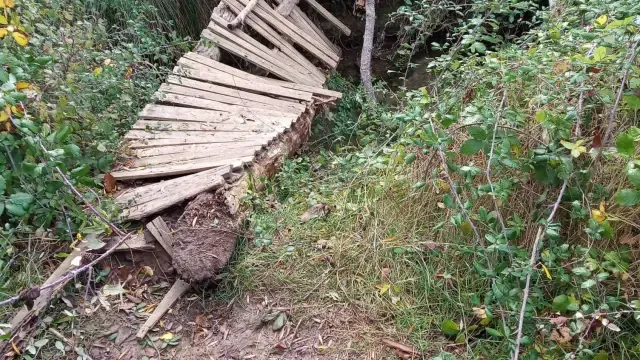 Se localiza un puente de madera roto en la alberca de Cortés