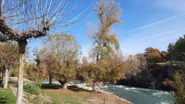 Graus inicia las labores de limpieza de la ribera del río Esera