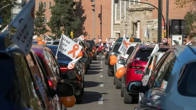 Bocinazos, globos y lazos en Zaragoza contra la Ley Celaá
