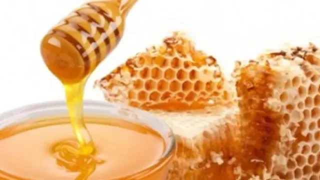 Uaga valora como desastrosa la campaña de la miel