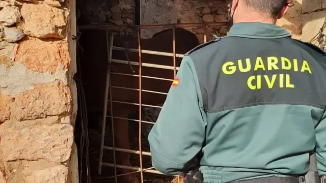 Investigan a una persona como presunta autora de un delito de maltrato animal en Perales de Alfambra en Teruel