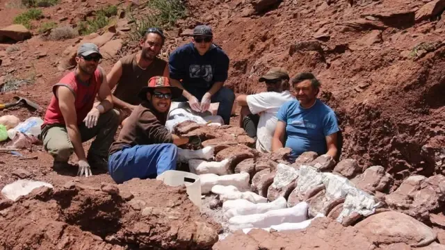 Buscan el mayor titanosaurio conocido en la Patagonia